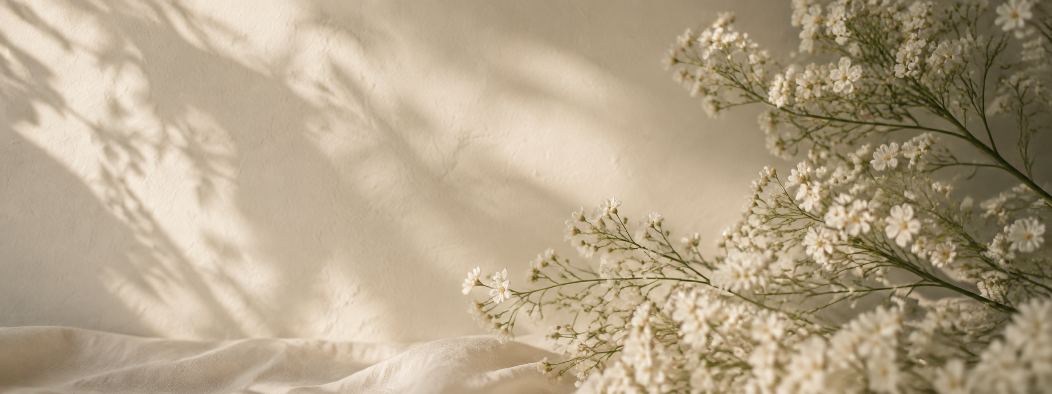 Delicate ivory flowers in warm natural light
